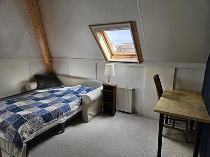 Room for rent 500 euro Pimpernel, Dronten