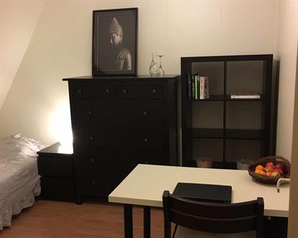 Kamer te huur 450 euro Haarlemmermeerstraat, Amsterdam