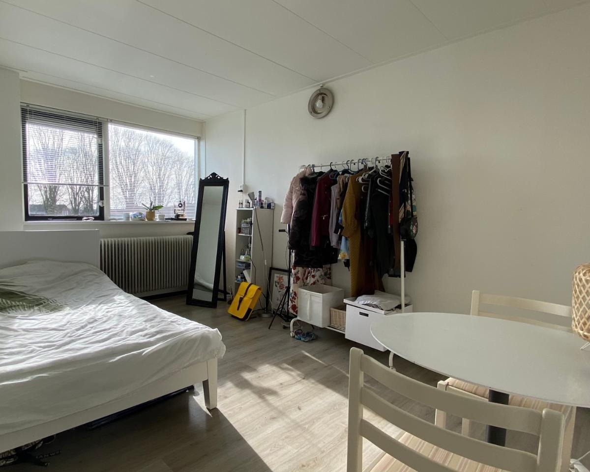 apartments for rent on Hoendiep