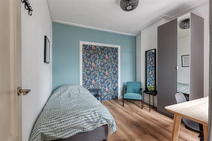 Room for rent 850 euro Paul Krugerlaan, Den Haag
