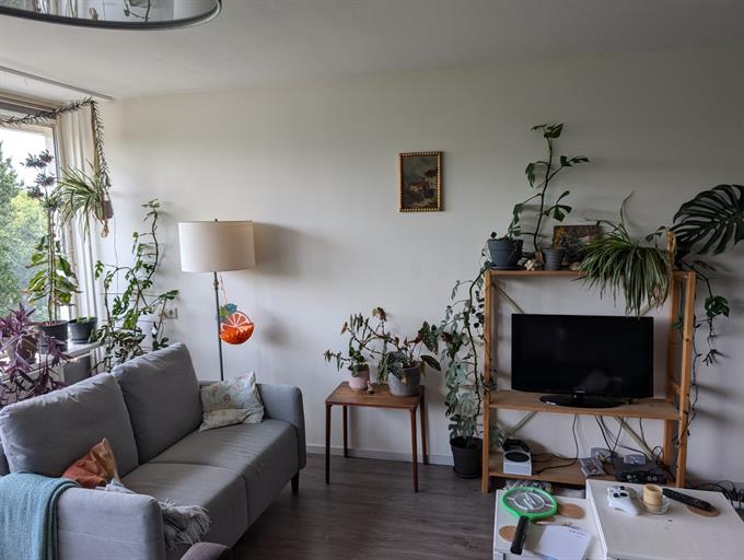 Zimmer bei Patmosdreef In Utrecht