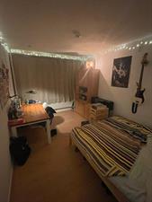 Room for rent 450 euro Prof. Evertslaan, Delft