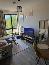 Apartment for rent 1000 euro Schipluidenlaan, Amsterdam