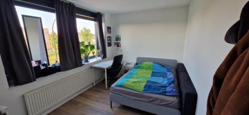 Kamer te huur 900 euro Ladogameerhof, Amsterdam