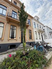 Zimmer zu vermieten 945 Euro Parkstraat, Arnhem