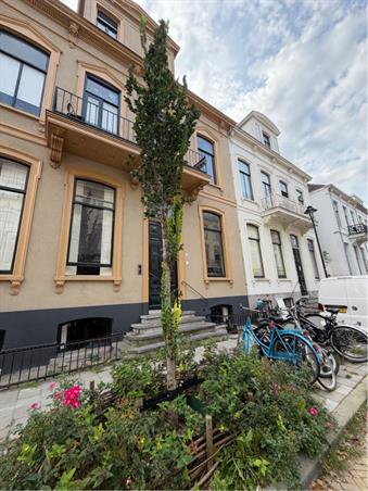 Kamer in Arnhem, Parkstraat op Kamernet.nl: Ruime kamer (26m2) te huur Parkstraat Arnhem.