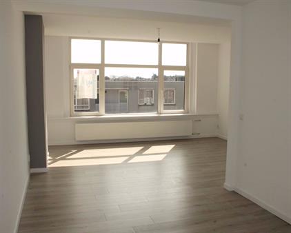 Room for rent 481 euro Putsebocht, Rotterdam