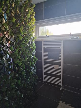 Zimmer bei Jacob van Akenstraat In Rotterdam