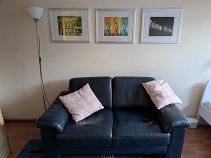 Room for rent 525 euro Henry Dunantlaan, Delft