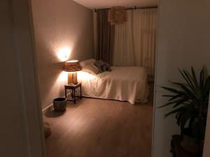 Appartement te huur 2199 euro Borgerstraat, Amsterdam