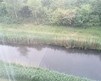 Kamer te huur 650 euro Maassluisstraat, Amsterdam