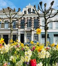 Room for rent 630 euro Mauritsstraat, Breda