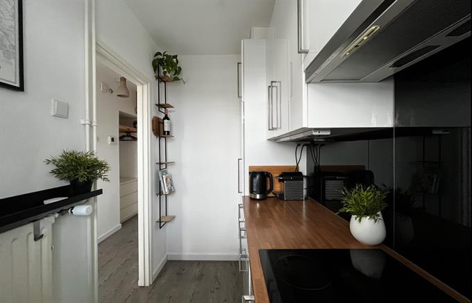 Wohnung bei Suze Groeneweglaan In Rotterdam