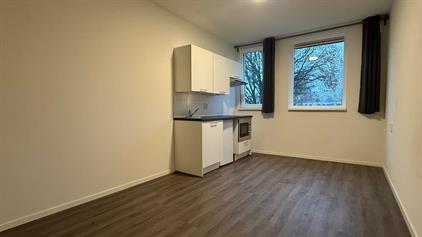 Room for rent 435 euro de Gealanden, Leeuwarden