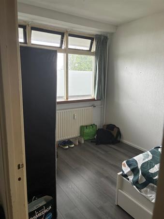 Zimmer bei Marco Pololaan In Utrecht