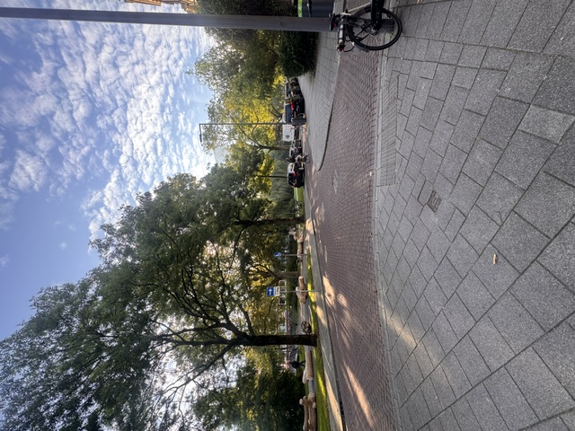 Studio aan Spoorsingel, Rotterdam 7