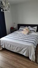 Room for rent 1200 euro Blauwdasstraat, Amsterdam