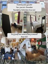 Room for rent 700 euro Noordplein, Rotterdam