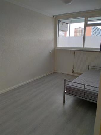 Zimmer bei Hemingwayplaats In Rotterdam