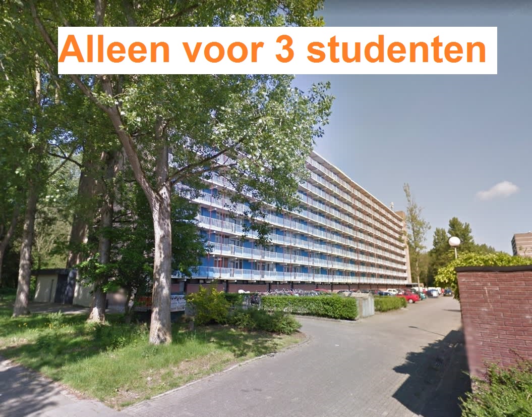 Kamer te huur in Groningen – Saffierstraat – foto 3