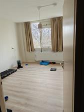 Kamer te huur 712 euro Kraanvogelstraat, Delft