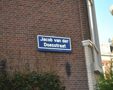Kamer te huur in de Jacob van der Doesstraat in Den Haag