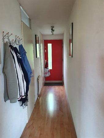 Zimmer bei Celebesstraat In Amsterdam