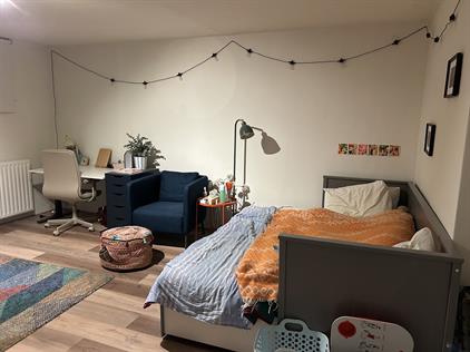 Room for rent 684 euro Berg en Dalseweg, Nijmegen
