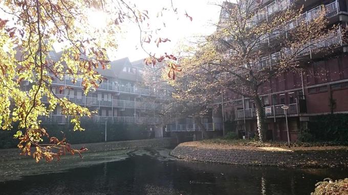 Zimmer bei Vriendenlaan In Rotterdam