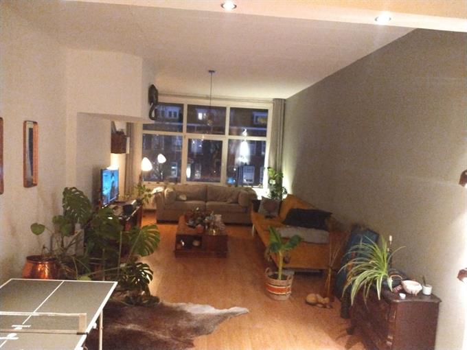 Zimmer bei Dierenselaan In Den Haag