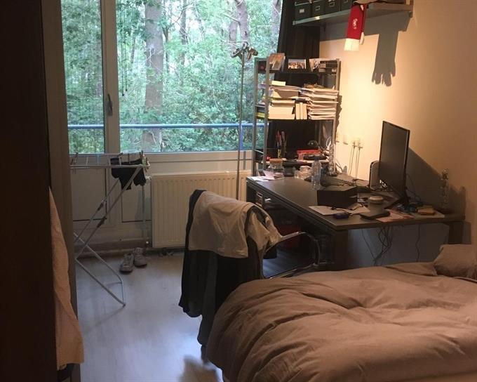 Zimmer bei Witbreuksweg In Enschede