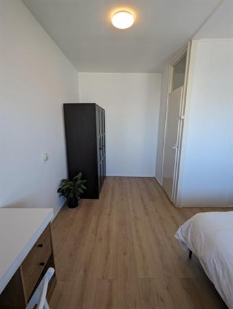 Zimmer bei Hendrik Tollensstraat In Delft