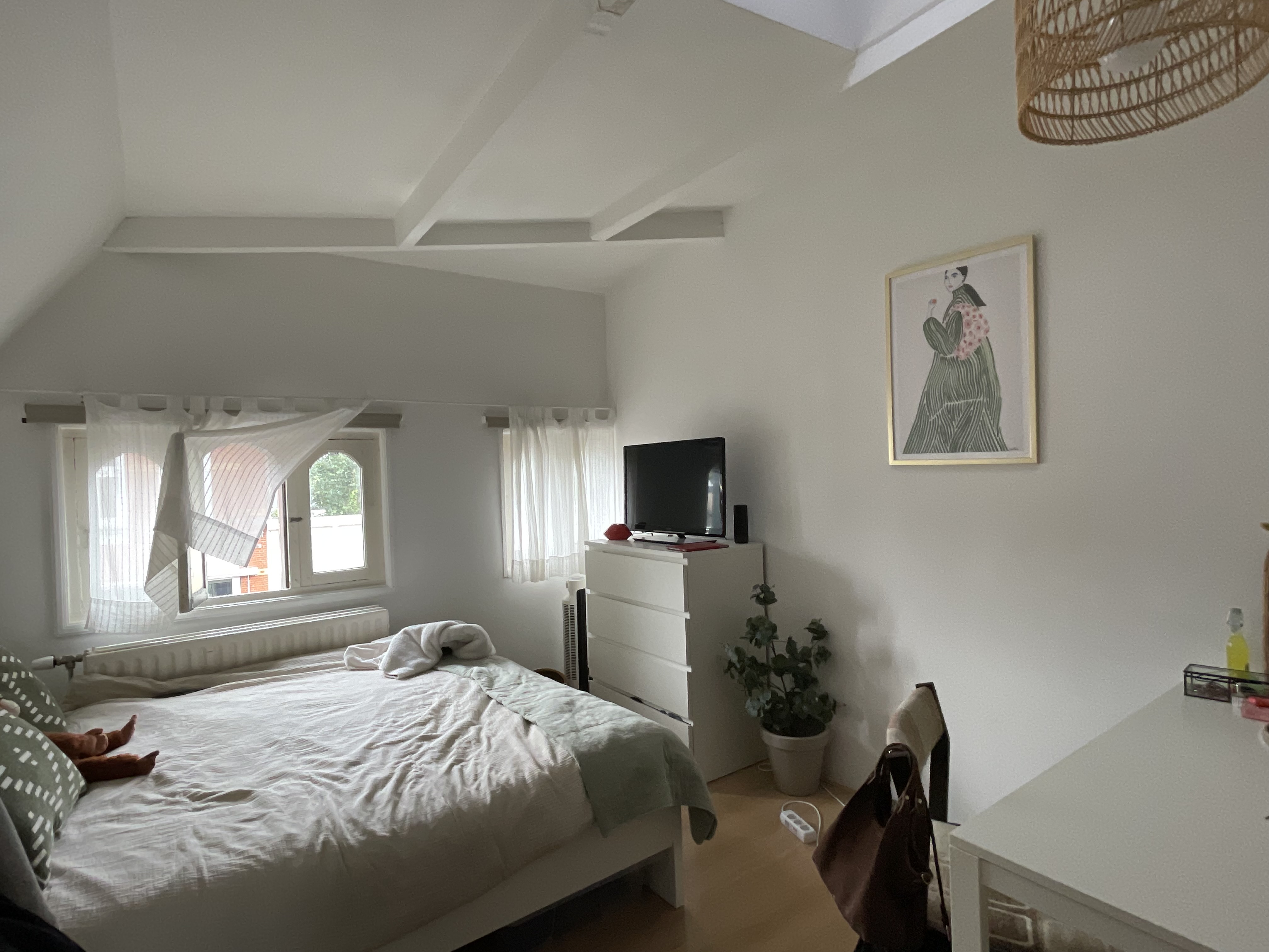 Kamer aan Ginnekenweg, Breda 6