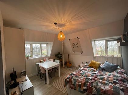 Kamer te huur 495 euro Thijmstraat, Nijmegen