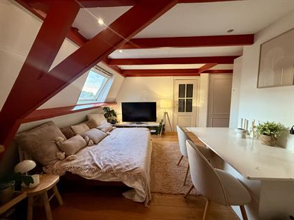 Room for rent 980 euro Nassau Odijckstraat, Den Haag