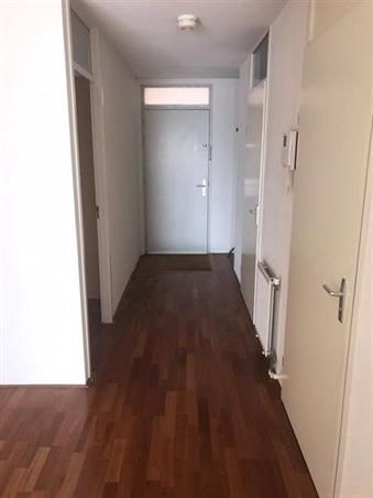 Wohnung bei Van Suchtelen van de Haarestraat In Amsterdam