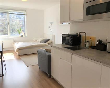Studio for rent 1550 euro Korte Geuzenstraat, Amsterdam