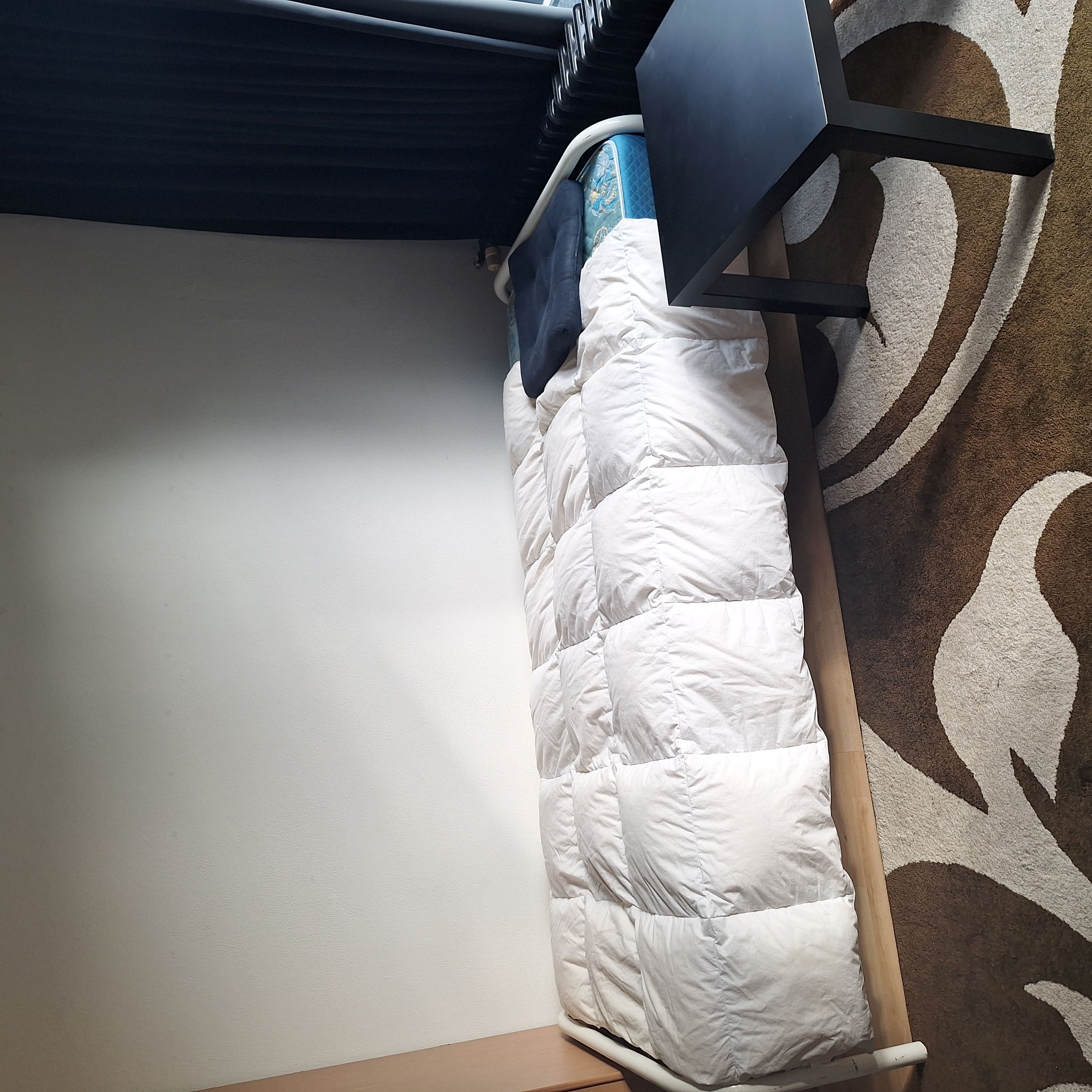 Kamer te huur in Eindhoven – Grebbeberglaan – foto 4