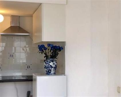 Studio te huur 600 euro Haarlemmerweg, Leiden