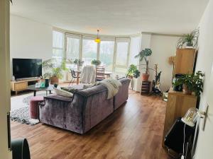 Kamer te huur 800 euro Maliebaan, Amsterdam