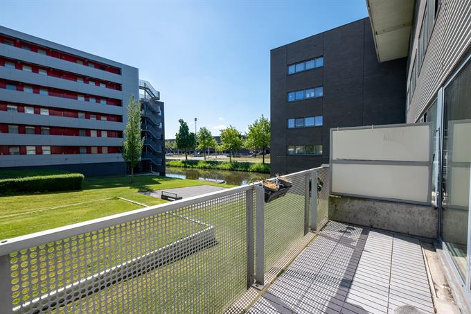 Wohnung bei Ladogameerhof In Amsterdam