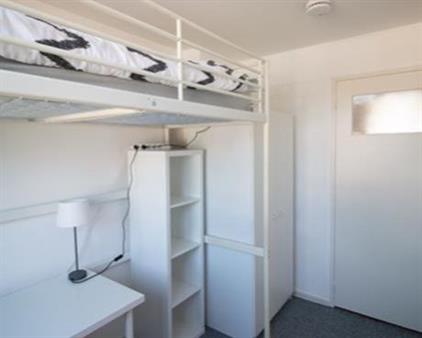 Kamer te huur 508 euro Kinkelenburglaan, Arnhem