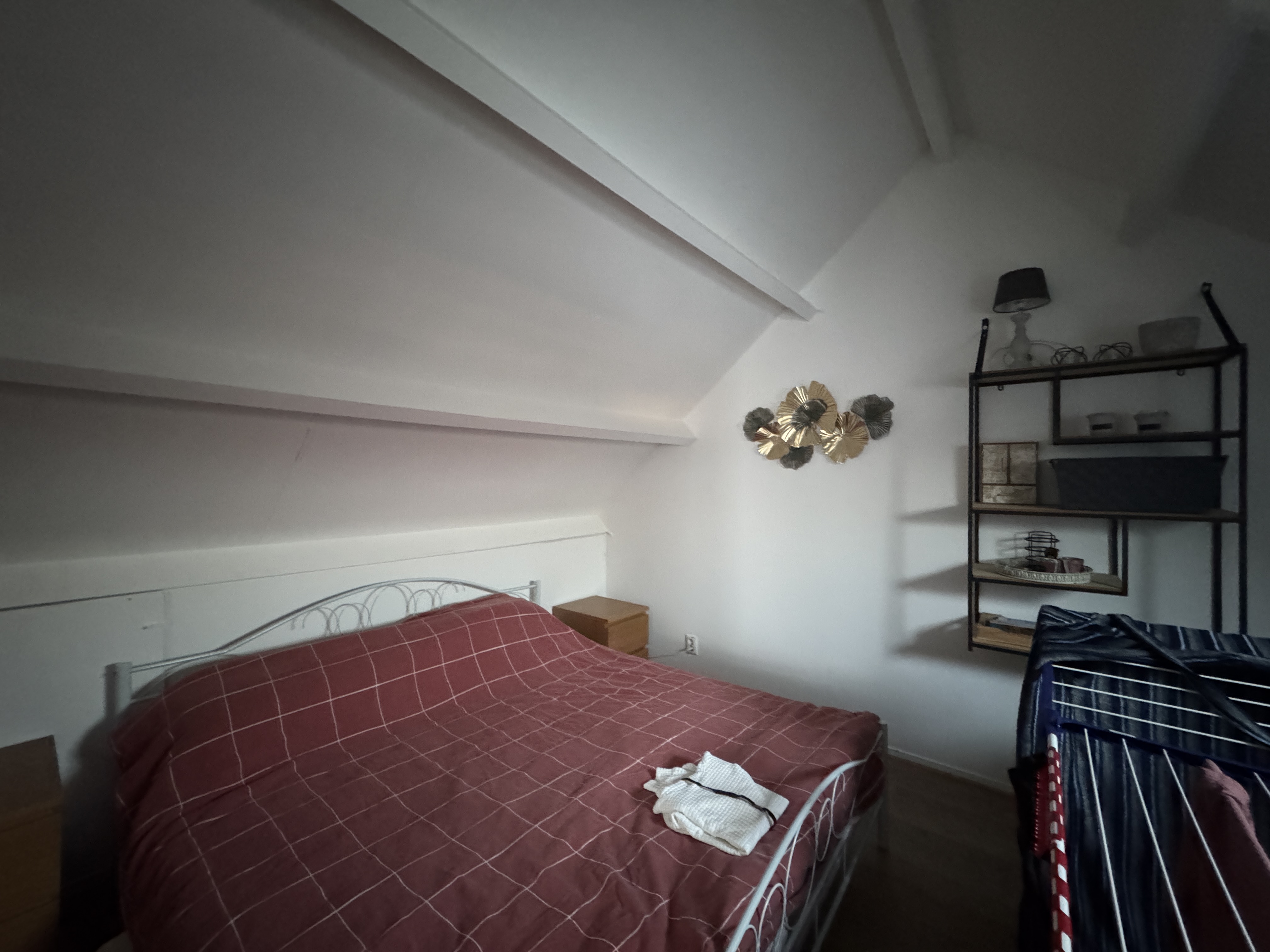 Kamer te huur in Rockanje – Vogelgaarde – foto 4