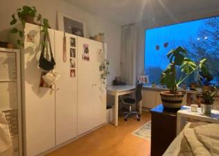 Kamer te huur 700 euro Dierenriemstraat, Groningen