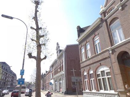 Studio for rent 600 euro Godsweerdersingel, Roermond