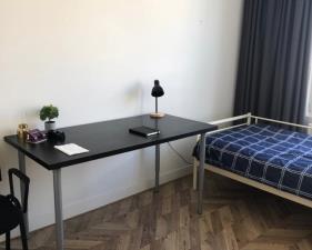 Room for rent 530 euro Nunspeetlaan, Den Haag