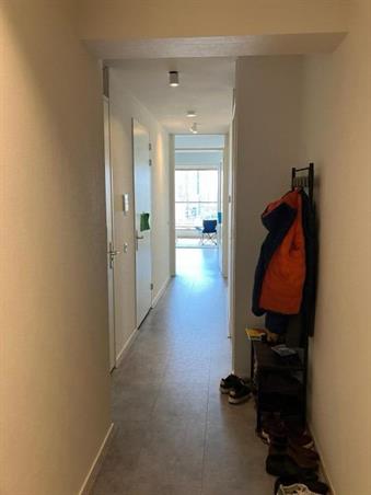 Zimmer bei Van der Hoevenplein In Rotterdam