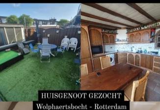 Kamer te huur 508 euro Wolphaertsbocht, Rotterdam