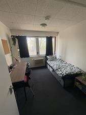 Room for rent 672 euro Aan 't Verlaat, Delft