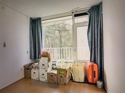 Kamer te huur 440 euro Anna Paulownalaan, Zeist